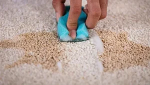پاک کردن لکه چای